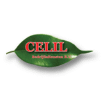 Logo Celil